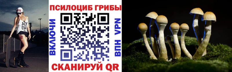 Псилоцибиновые грибы Cubensis  OMG вход  Талдом 